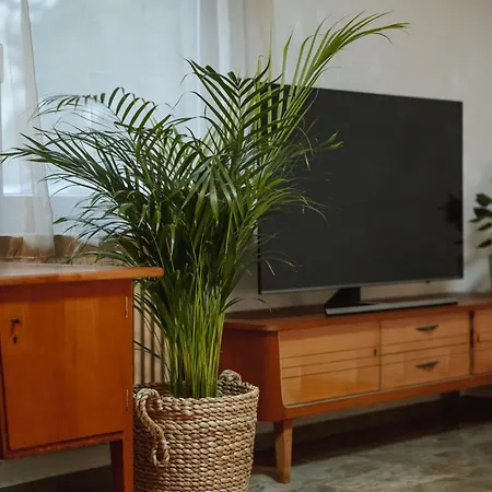 Große Mit 2 Schlafzimmer Bretzfeld